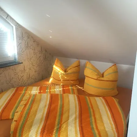 Haus Biene 아파트 졸링겐